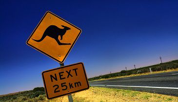 Brisbane, la gran aventura australiana 