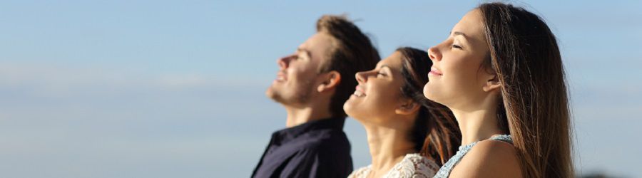 Cursos de inglés en AUCKLAND