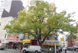 APARTAMENTOS CHRISTIE STREET en NUEVA YORK WALL STREET