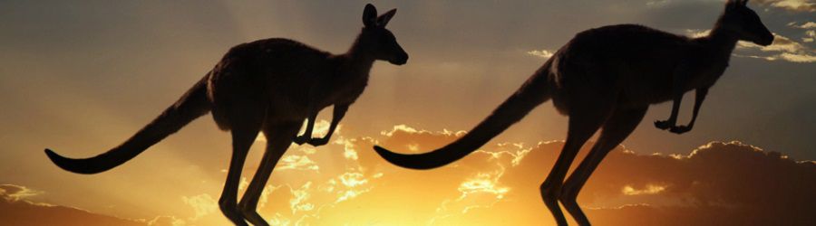 Cursos de inglés en BRISBANE