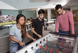 Curso en LONDRES EN EL PUENTE DICIEMBRE